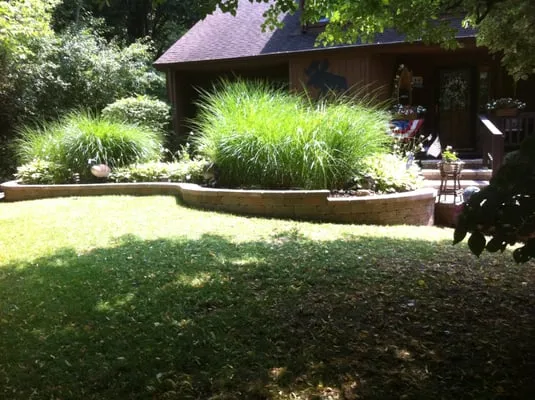 Leones Landscaping Logo