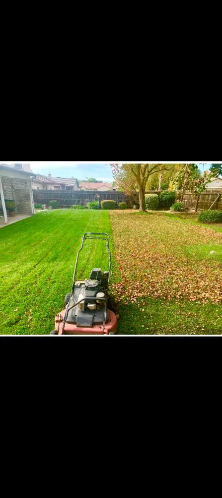 Top-rated landscape installation experts serving Fowler, CA - Leon's Gardening