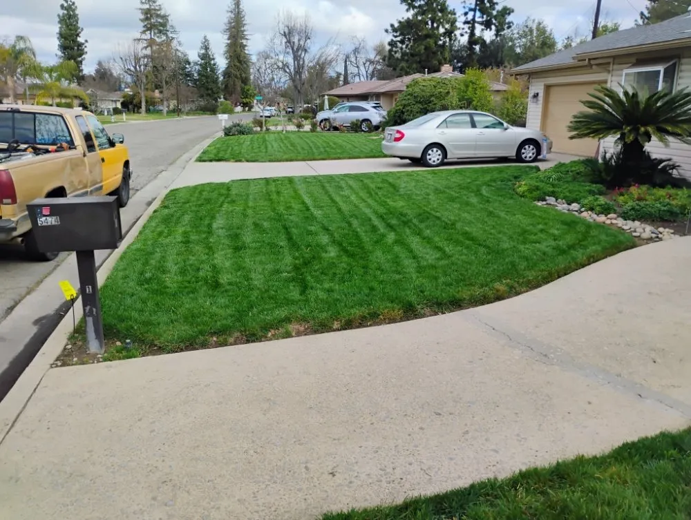 Expert landscape design for year-round maintenance in Fowler, CA by Leon's Gardening