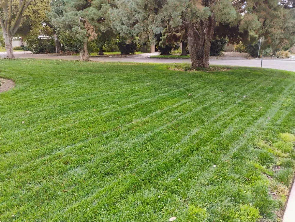 Reliable residential landscaping in Fowler, CA - Leon's Gardening