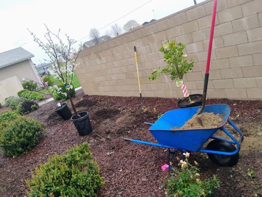 Trusted lawn care service near you in Fowler, CA by Leon's Gardening