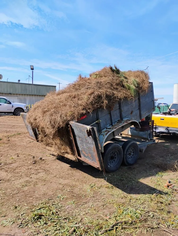Expert landscape installation in Fowler, CA by Leon's Gardening