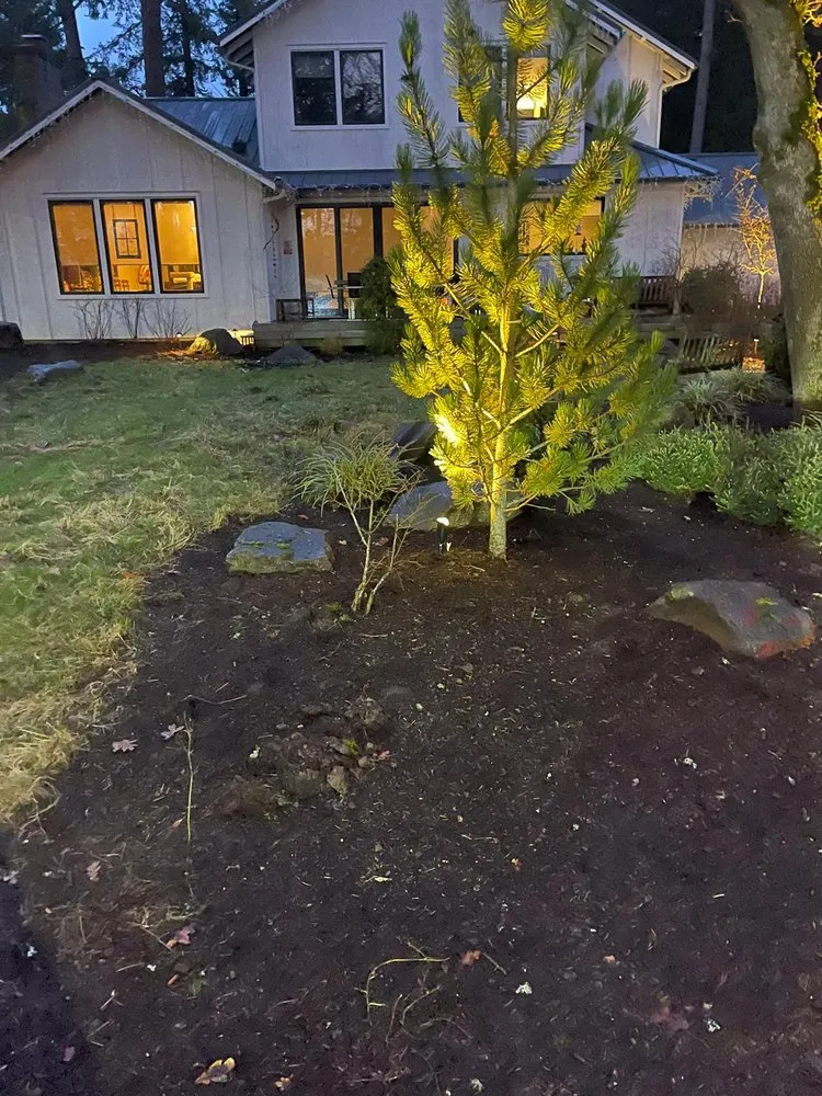 Professional yard cleanup service for homes across Sherwood, OR - Leon's Landscape Maintenance
