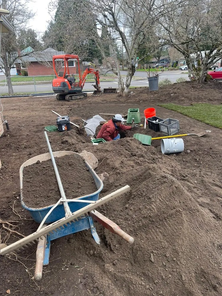 Expert lawn care service near you in Sherwood, OR by Leon's Landscape Maintenance