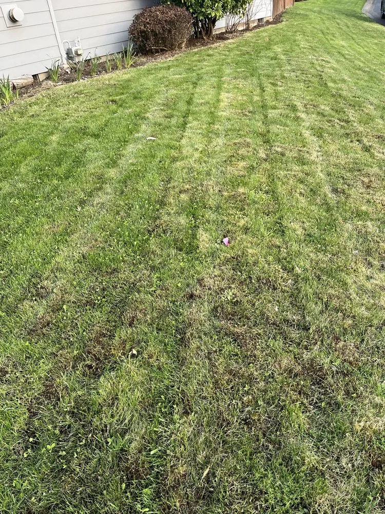 Professional outdoor landscaping in Portland, OR by Leons Landscape