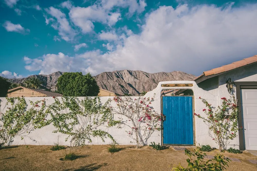 Local yard cleanup service in Indio, CA by Leon's Landscaping & Tree Service