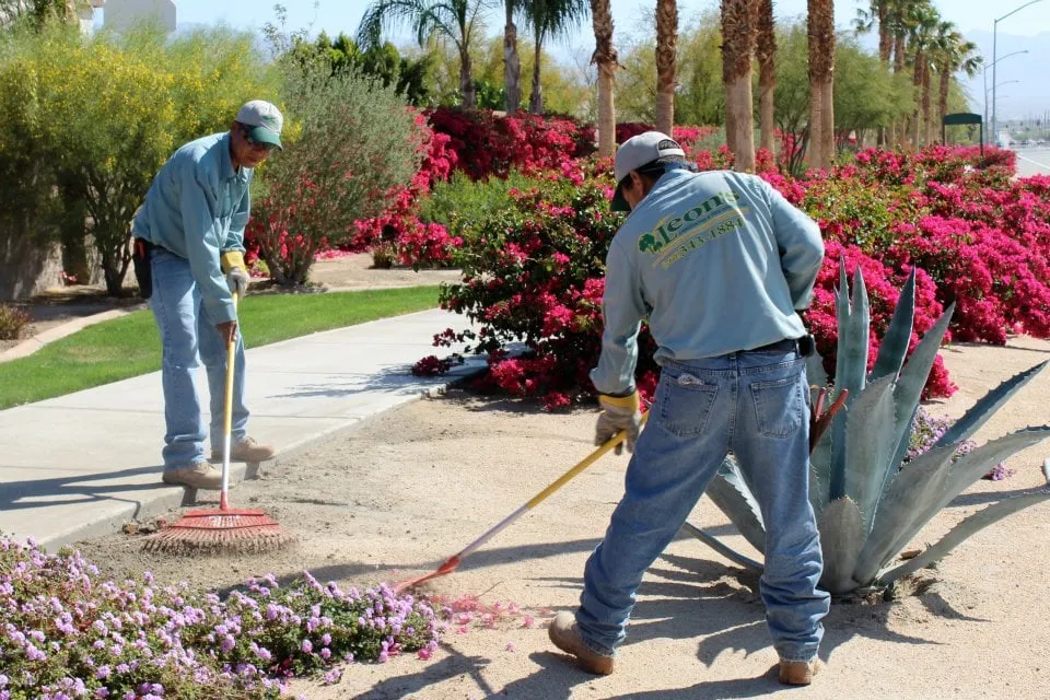 Expert garden landscaping experts serving Indio, CA - Leon's Landscaping & Tree Service