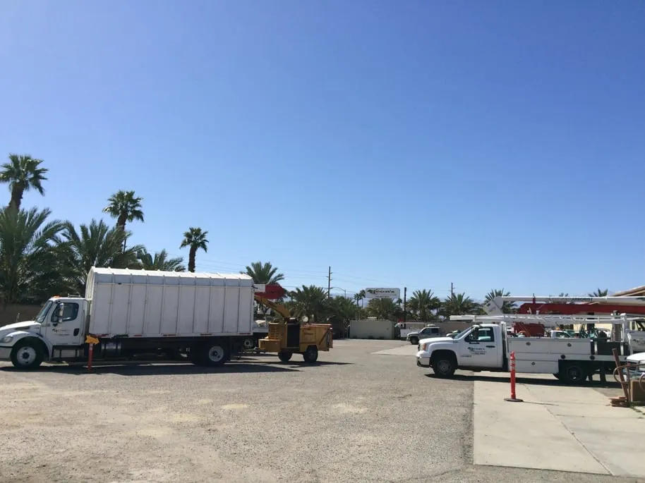 Local lawn care service experts serving Indio, CA - Leon's Landscaping & Tree Service