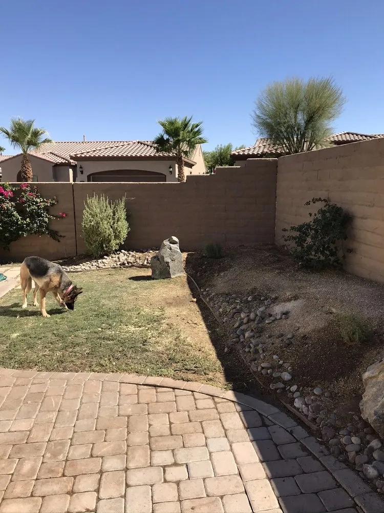 Expert landscaping services for residential properties in Indio, CA by Leon's Landscaping & Tree Service