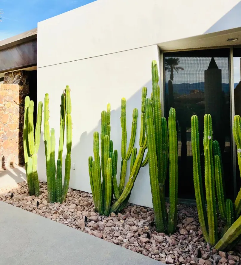 Trusted residential landscaping in Indio, CA by Leon's Landscaping & Tree Service