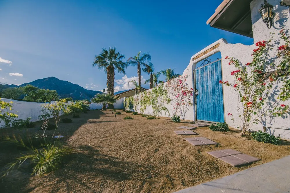 Expert yard maintenance experts serving Indio, CA - Leon's Landscaping & Tree Service