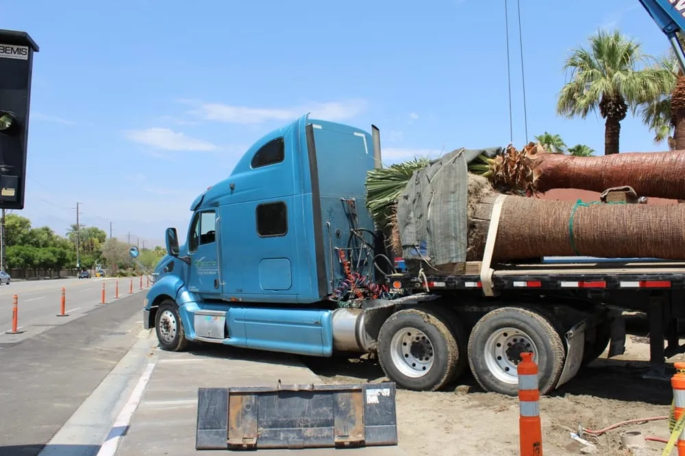 Expert yard cleanup service in Indio, CA - Leon's Landscaping & Tree Service