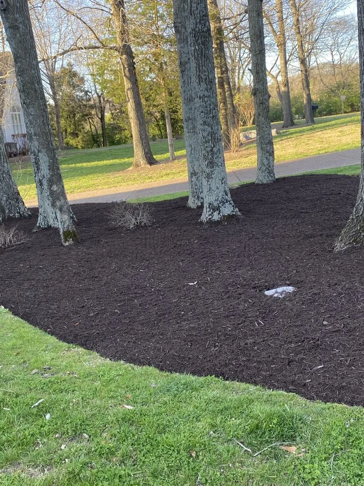 Reliable garden landscaping for outdoor upgrades across Nashville, TN - Leon's Landscaping and Tree Services