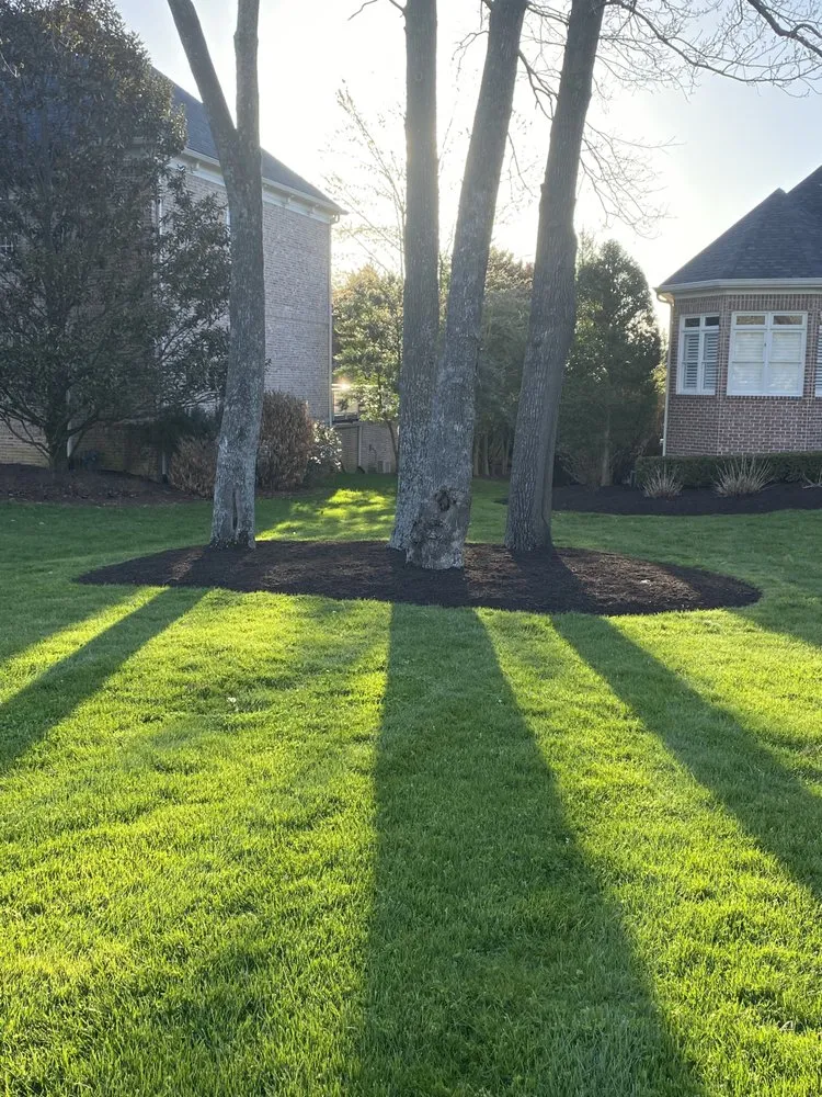 Trusted yard maintenance for outdoor upgrades in Nashville, TN by Leon's Landscaping and Tree Services