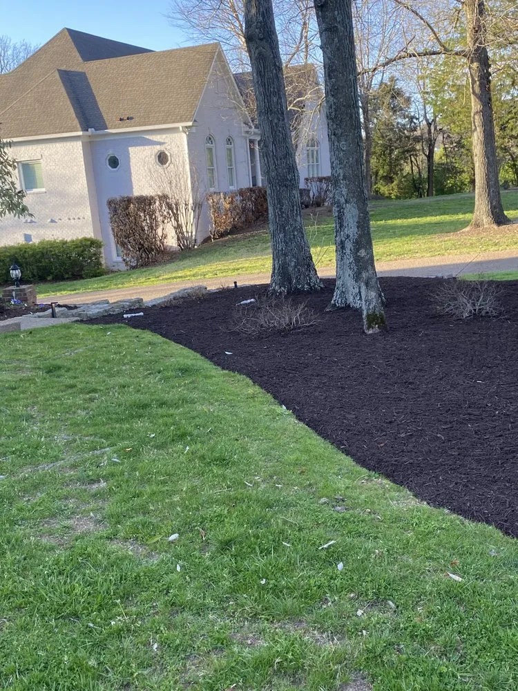 Expert yard maintenance in Nashville, TN by Leon's Landscaping and Tree Services
