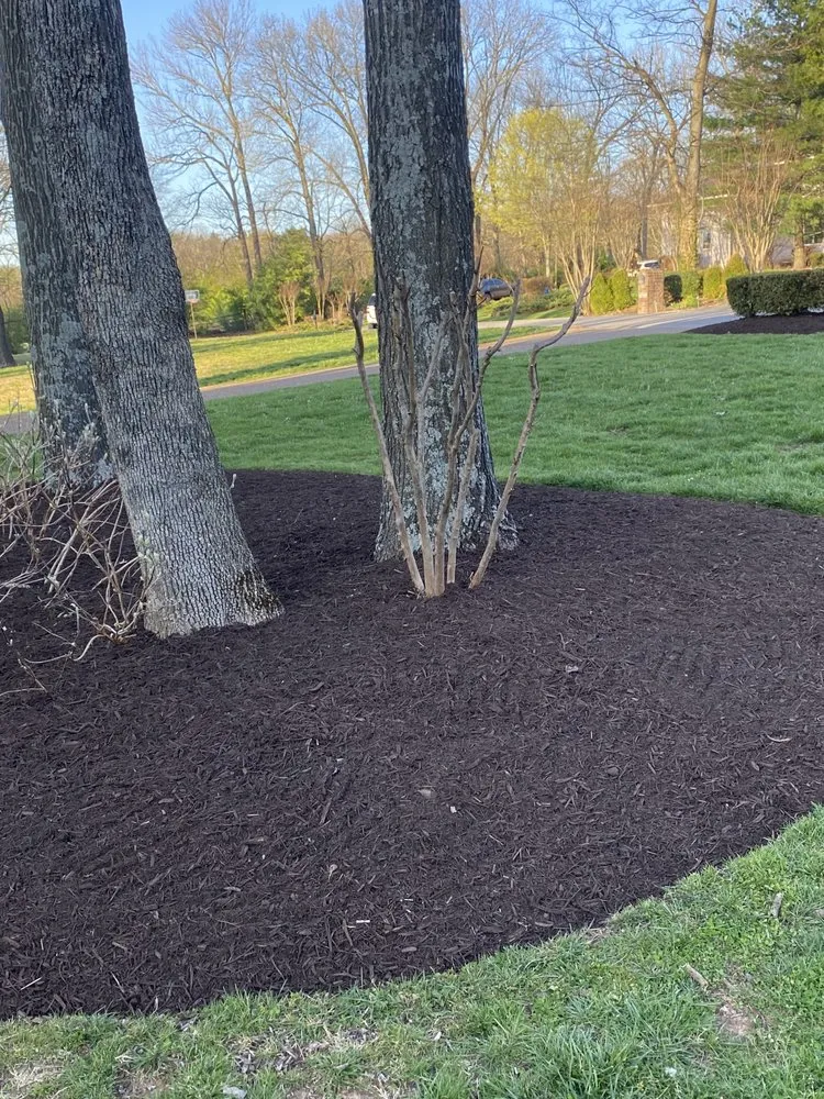 Expert landscape design for year-round maintenance in Nashville, TN by Leon's Landscaping and Tree Services