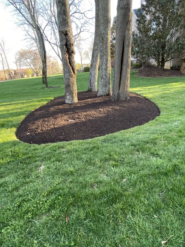 Custom landscaping services experts serving Nashville, TN - Leon's Landscaping and Tree Services