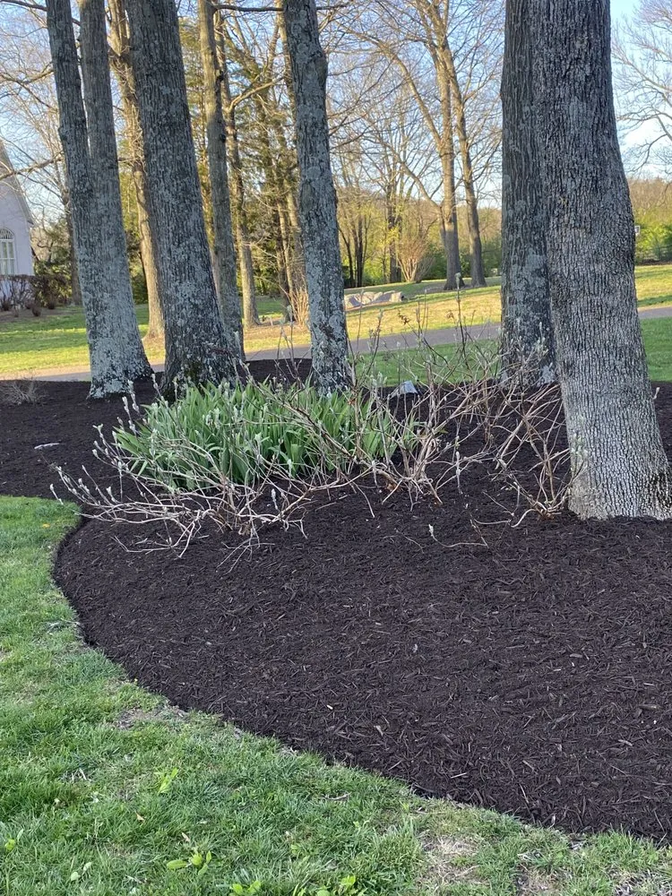 Expert lawn care service in Nashville, TN - Leon's Landscaping and Tree Services