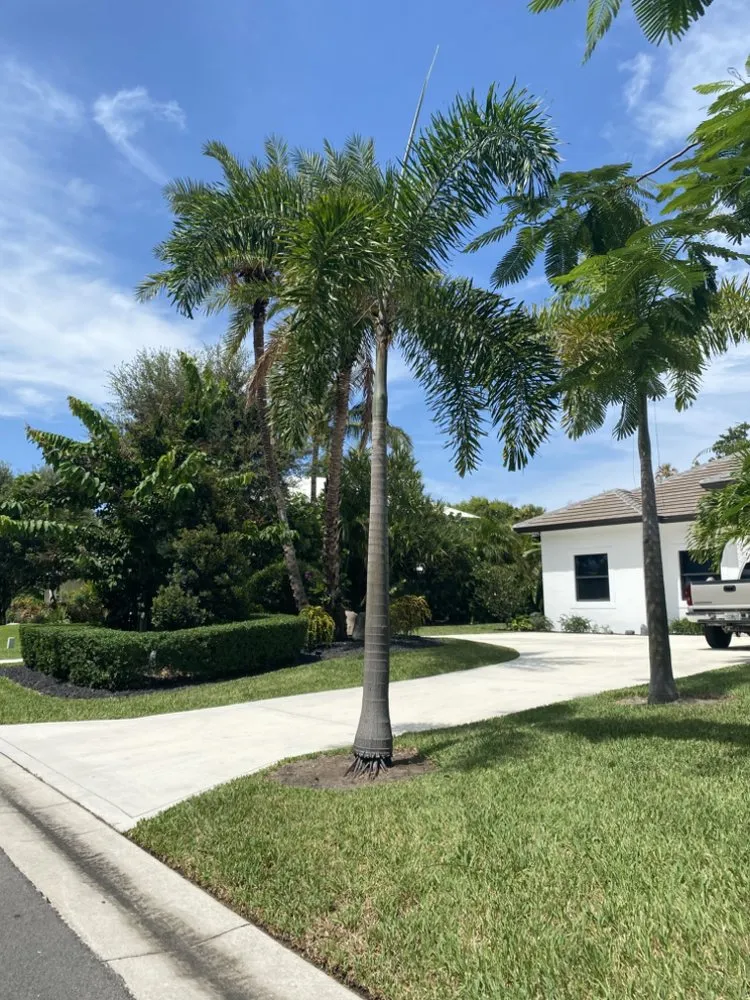 Expert outdoor landscaping in Okeechobee, FL - Leon’s Landscaping