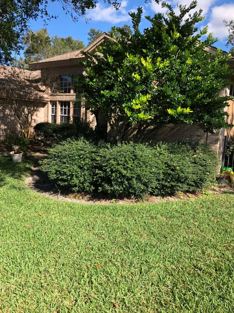 Local lawn mowing service experts serving Deltona, FL - Leon's Landscaping Services