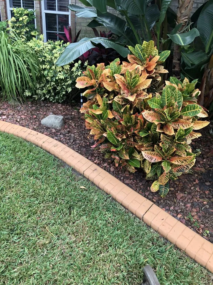 Expert lawn care service in Deltona, FL by Leon's Landscaping Services