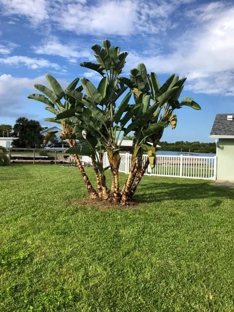 Top-rated garden landscaping experts serving Deltona, FL - Leon's Landscaping Services