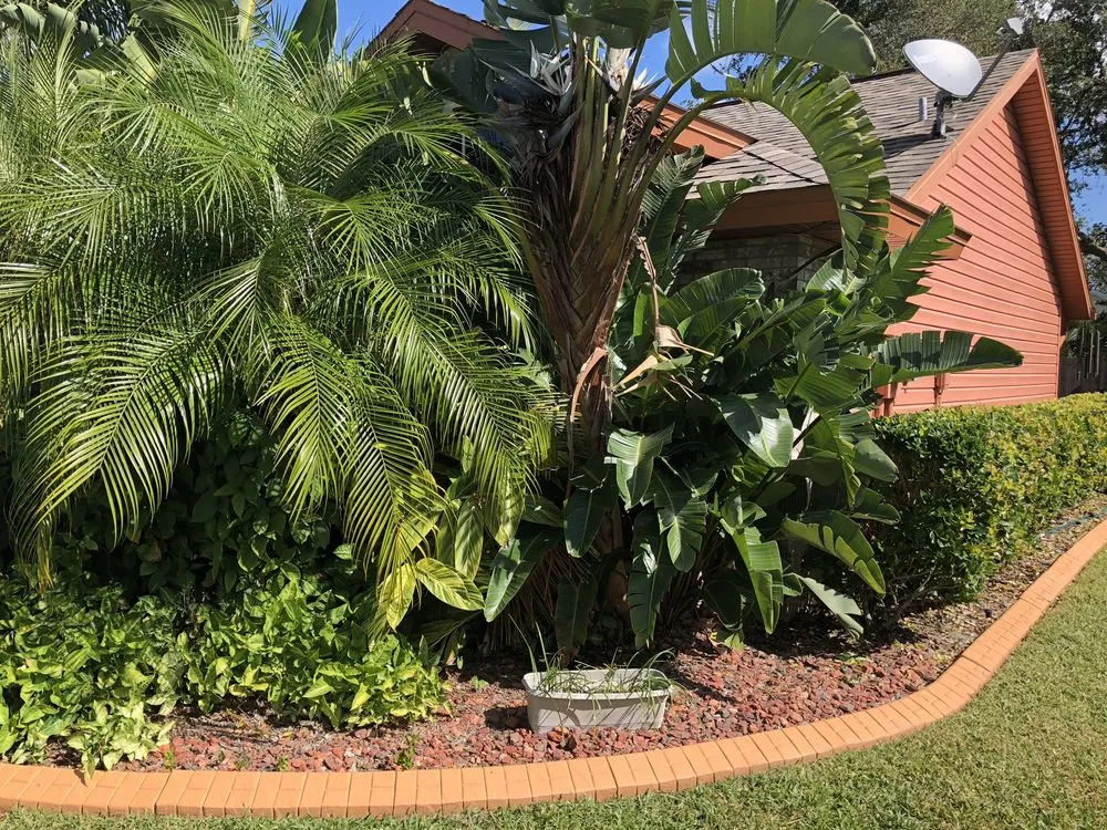 Reliable landscape installation with custom design across Deltona, FL - Leon's Landscaping Services