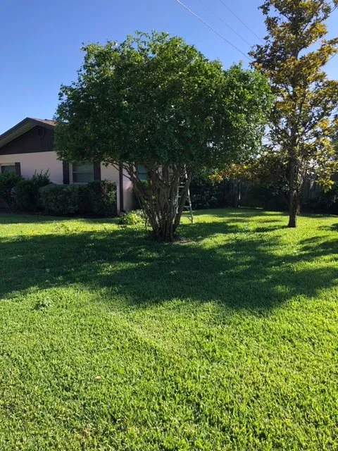 Trusted residential landscaping for homes in Deltona, FL by Leon's Landscaping Services