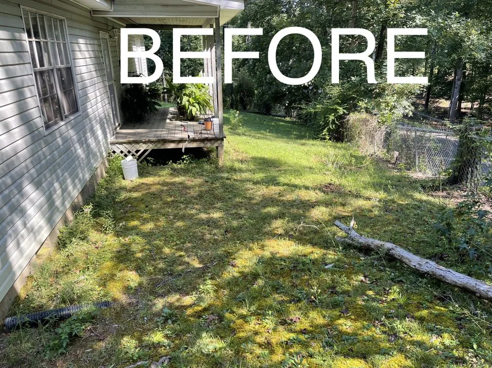 Trusted yard cleanup service experts serving Dalton, GA - Leon’s Lawn Care