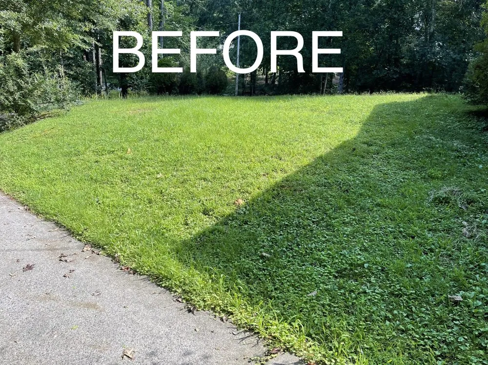 Local landscaping services in Dalton, GA - Leon’s Lawn Care