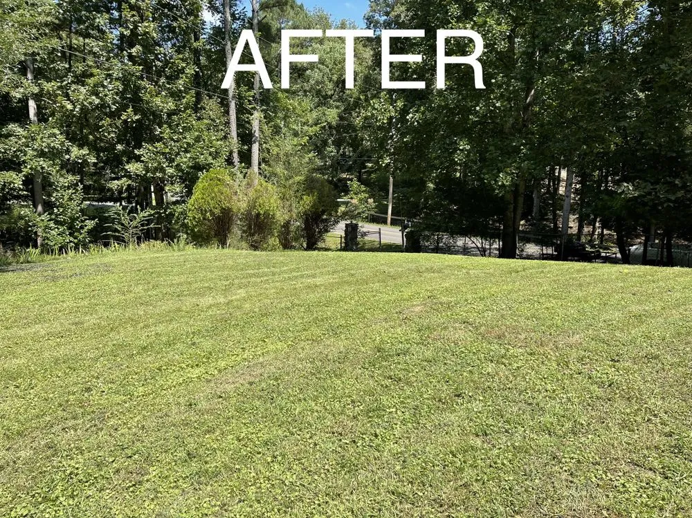Trusted yard cleanup service for outdoor upgrades in Dalton, GA by Leon’s Lawn Care