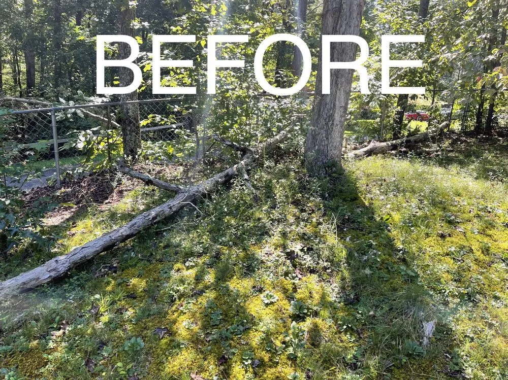 Custom landscaping services in Dalton, GA by Leon’s Lawn Care