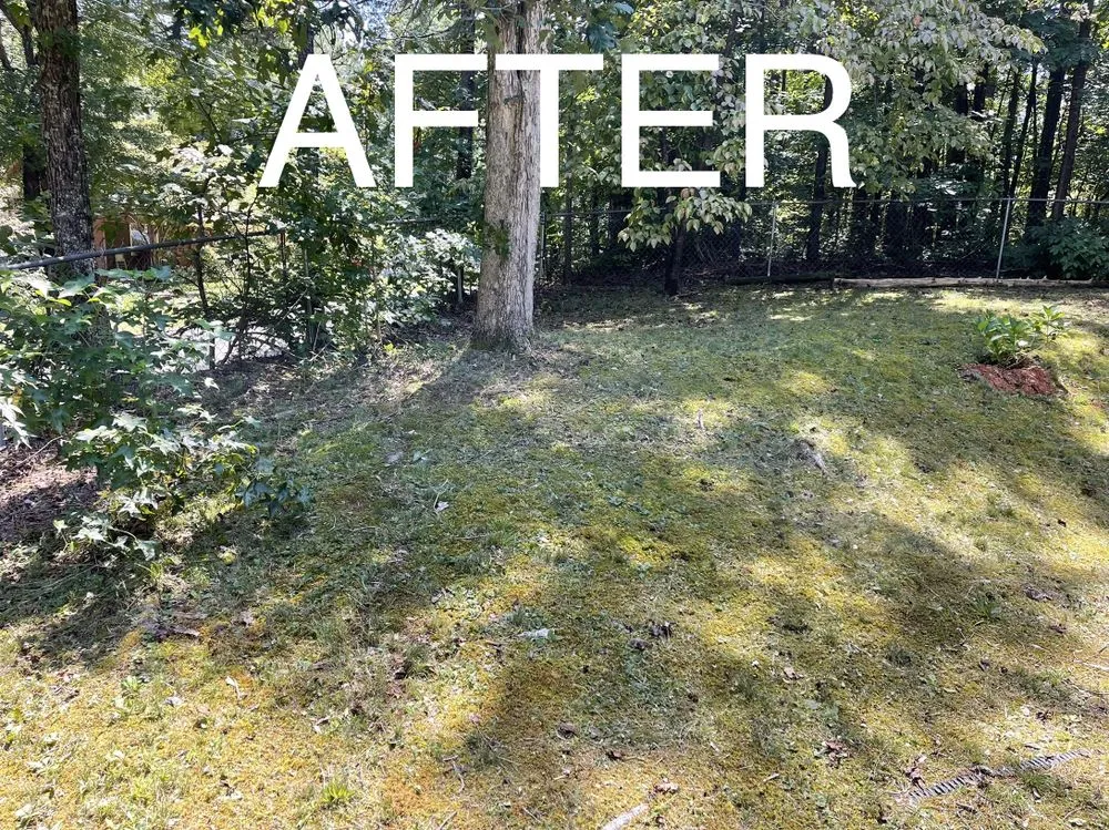 Top-rated yard maintenance in Dalton, GA - Leon’s Lawn Care