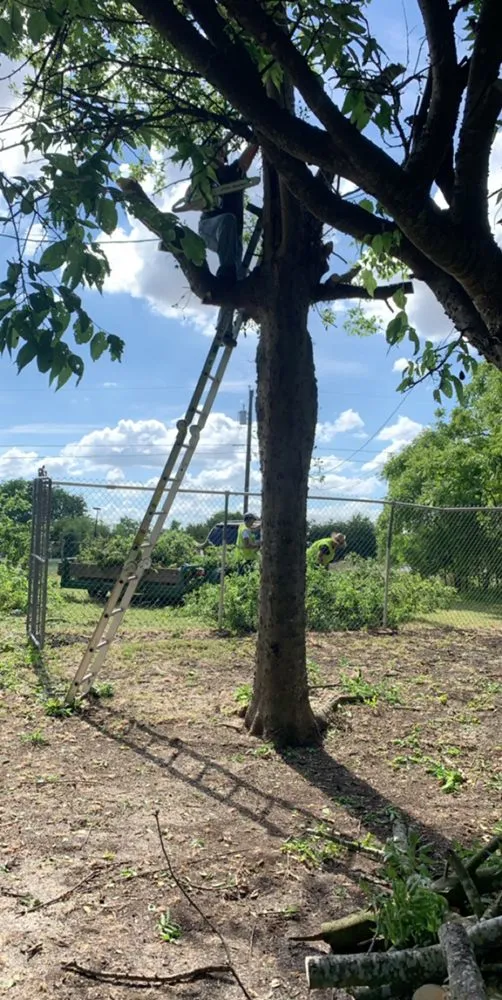 Expert residential landscaping experts serving Georgetown, TX - Leon’s lawn services