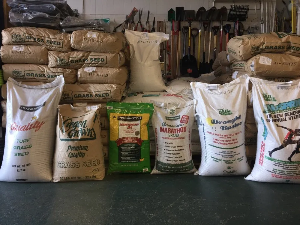 Trusted landscape design for year-round maintenance in Van Nuys, CA by Leon's Lawnmower and Chainsaw Shop