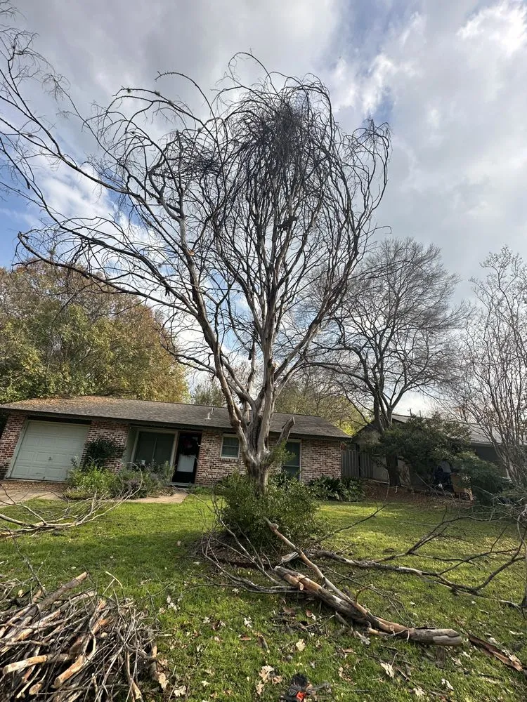 Professional yard cleanup service in Austin, TX - Leon’s Lawns