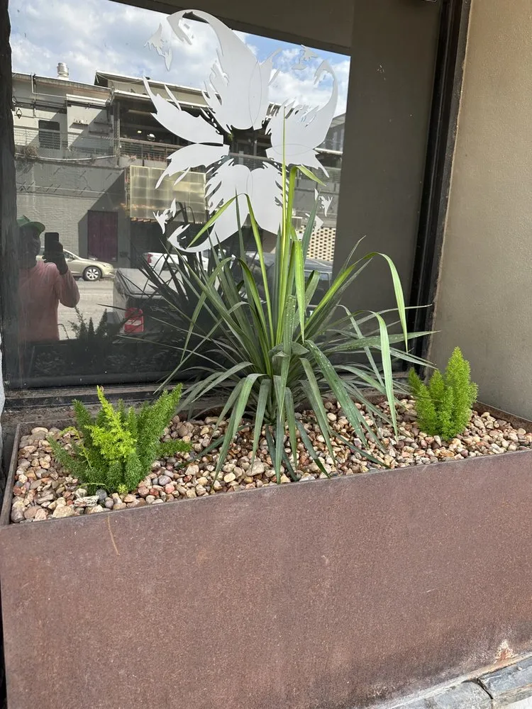 Local yard maintenance experts serving Austin, TX - Leon’s Lawns