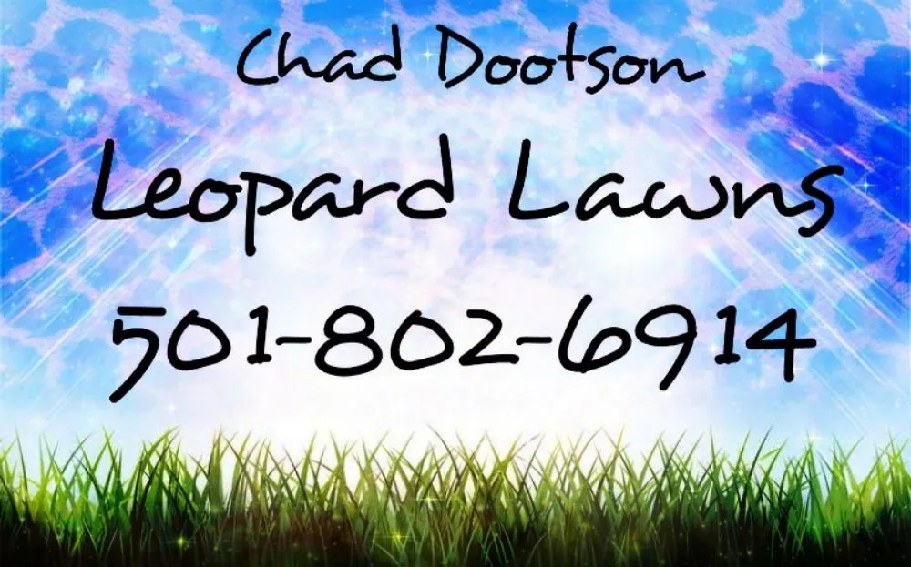 Local landscape design for outdoor upgrades across Malvern, AR - Leopard Lawn