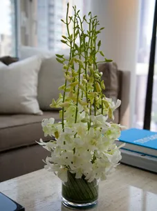 Local outdoor landscaping with custom design across New York, NY - Leopold Productions