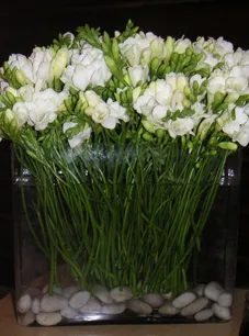 Reliable landscape design near you across New York, NY - Leopold Productions