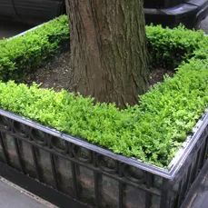 Reliable lawn mowing service for outdoor upgrades across New York, NY - Leopold Productions
