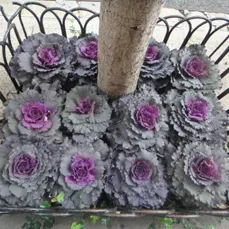 Custom landscape design near you in New York, NY by Leopold Productions