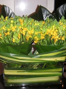 Affordable residential landscaping for outdoor upgrades in New York, NY by Leopold Productions