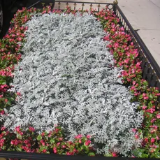 Professional landscape installation in New York, NY - Leopold Productions