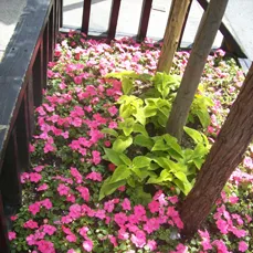 Trusted landscape design in New York, NY - Leopold Productions