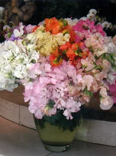 Top-rated yard maintenance in New York, NY by Leopold Productions