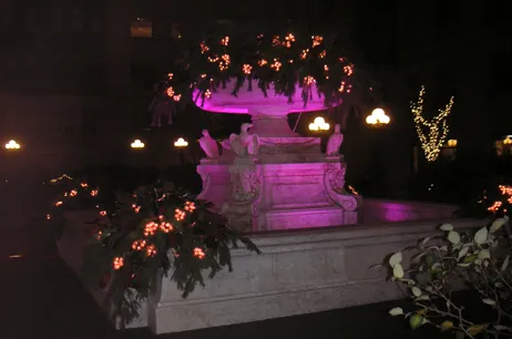 Custom yard maintenance in New York, NY - Leopold Productions