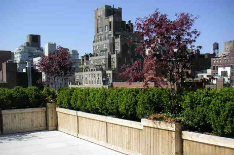 Top-rated yard cleanup service experts serving New York, NY - Leopold Productions