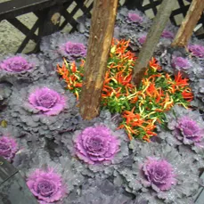 Local garden landscaping in New York, NY by Leopold Productions