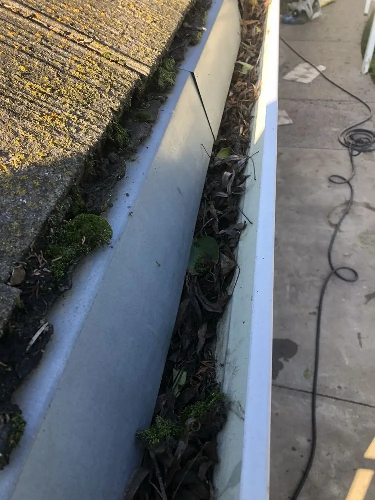 Trusted outdoor landscaping in Los Banos, CA - Leo’s BrightView Maintenance